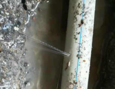 左贡测漏水哪家好