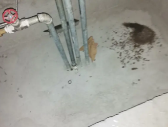 左贡卫生间测漏水价格明细