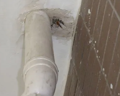 左贡漏水检测哪家好